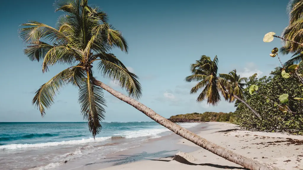 How To Say Mediterranean Sea In French