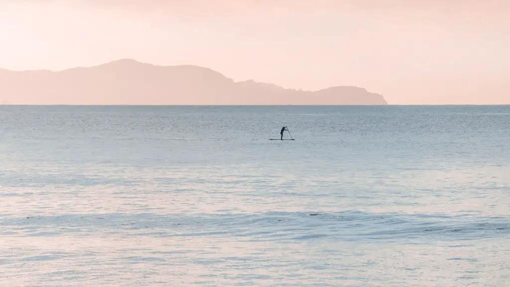 What kind of sharks are in the bering sea?