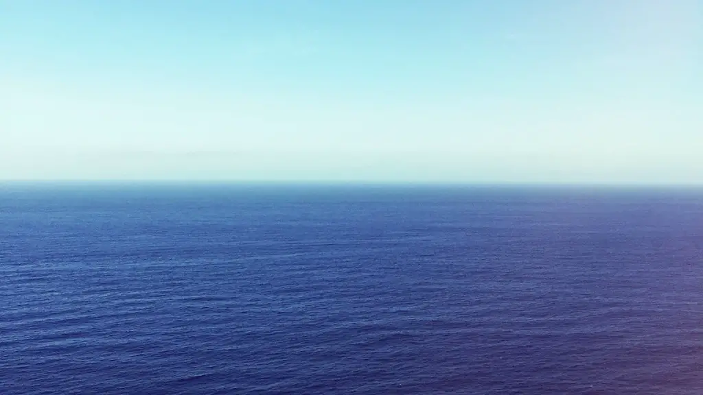 What sharks in red sea?