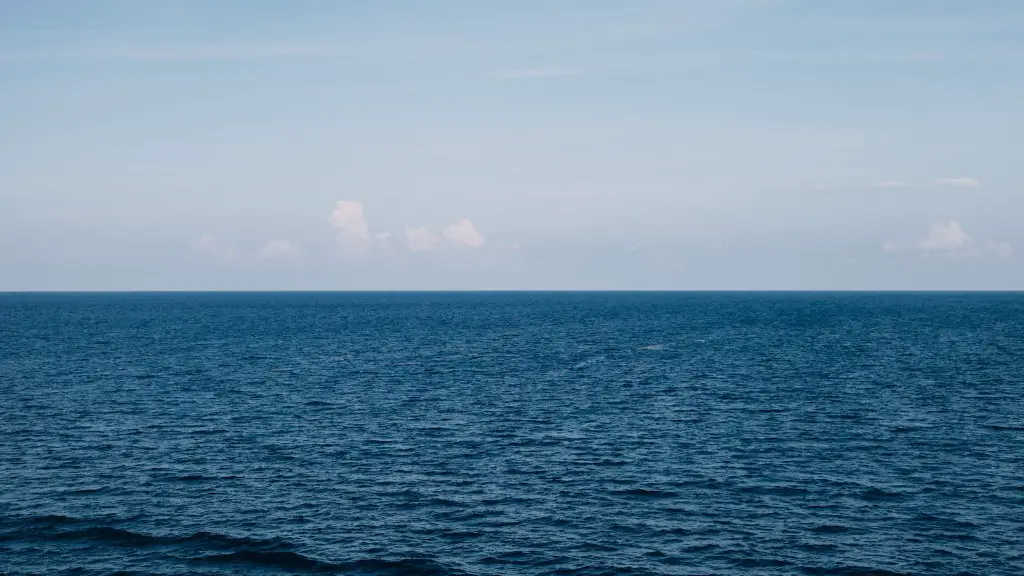 Are there sharks in the red sea egypt?
