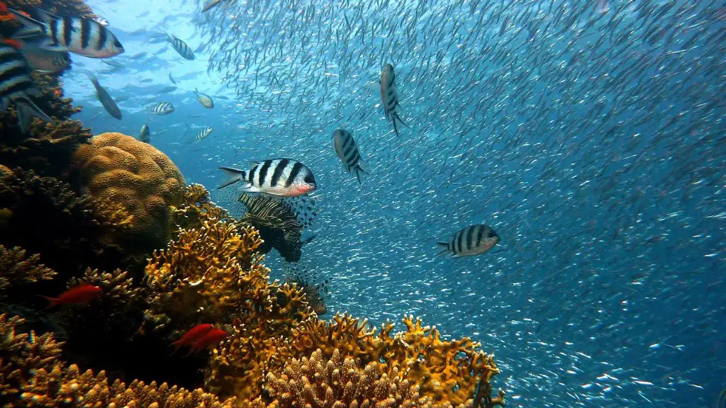 Is the red sea in sharm el sheikh?