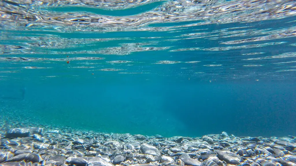 Does the bering sea have aniome?