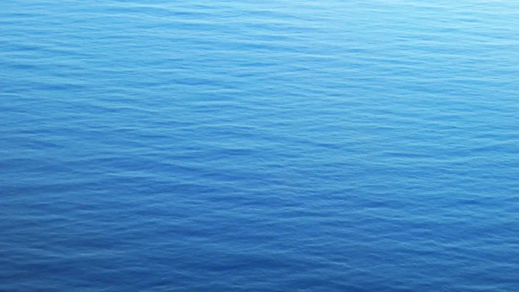 Where to dive in the red sea?