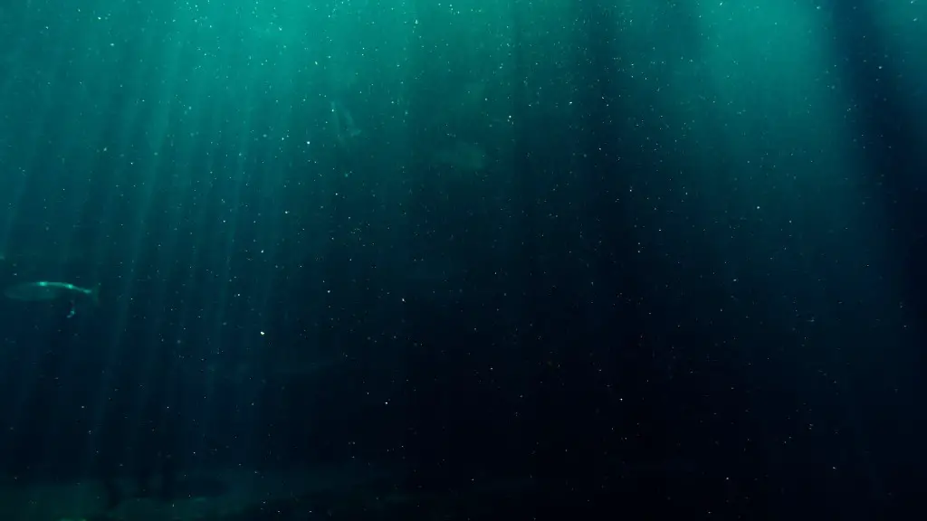 Did the egyptian pharaoh die in the red sea?