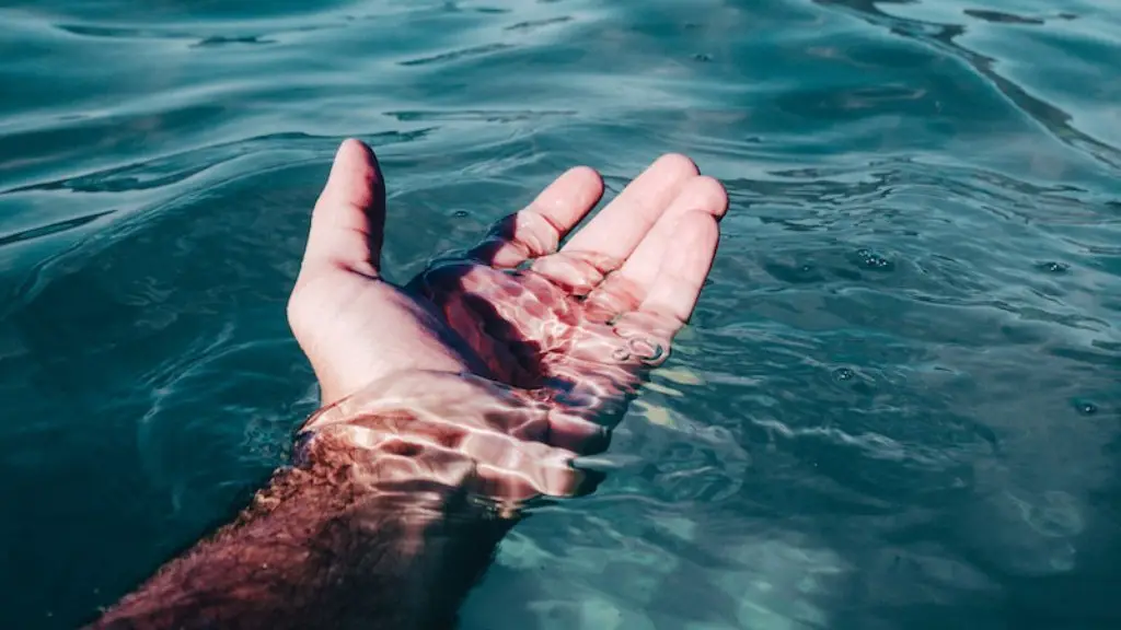 Did the pharaoh die in the red sea?
