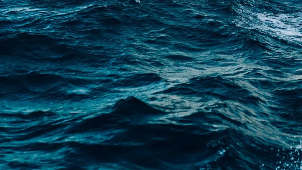 Has anyone explored the bottom of the red sea?