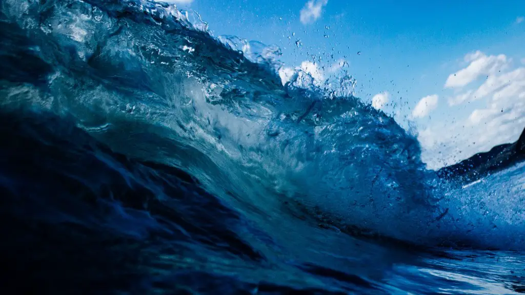 Are there alot of sharks in the red sea?