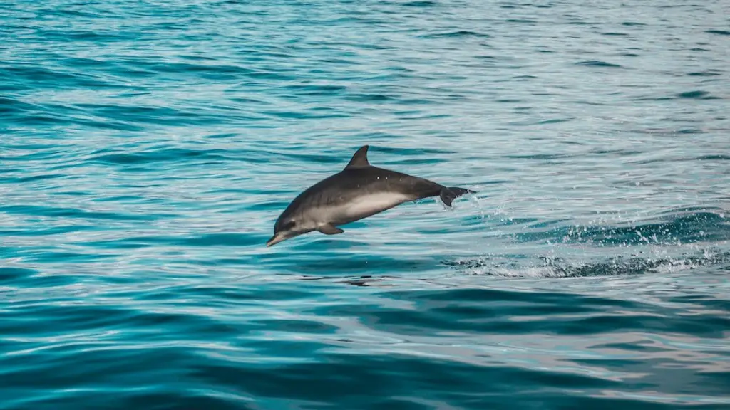 What Connects The Red Sea To The Mediterranean Sea