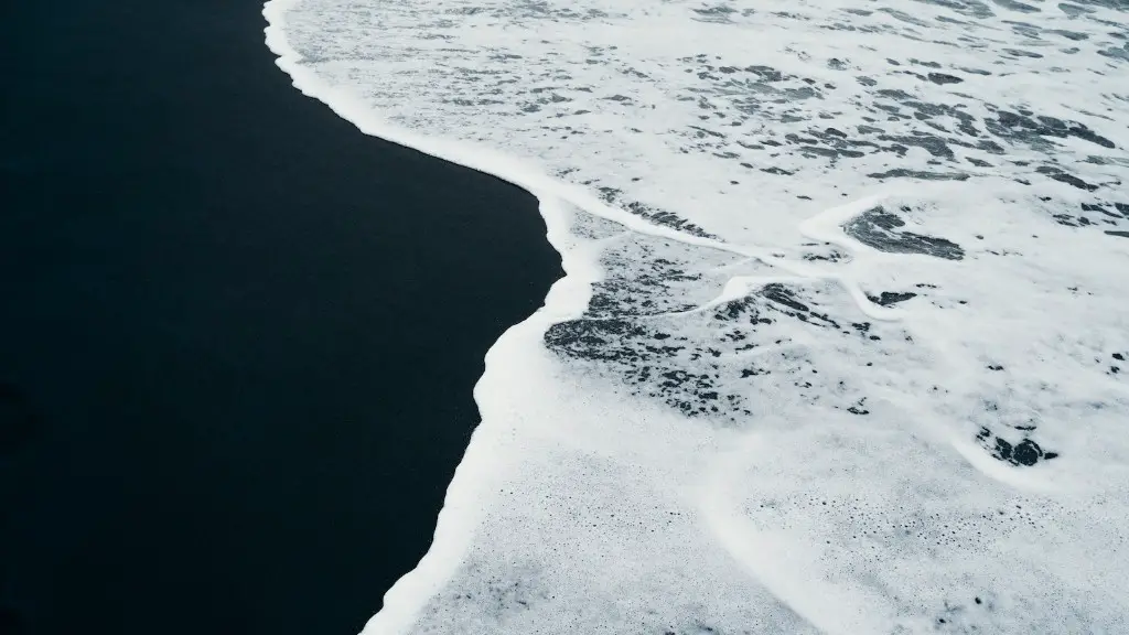 Are sharks in the bering sea?