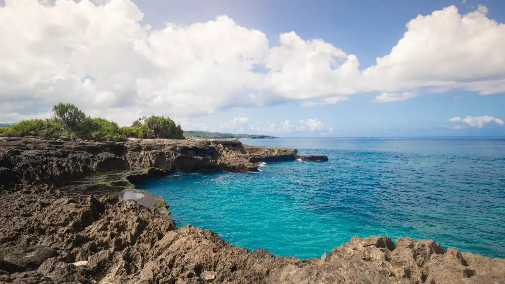 Can you swim in the red sea in january?