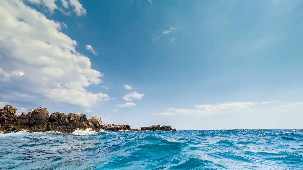 Are There Sharks In The Mediterranean Sea Italy