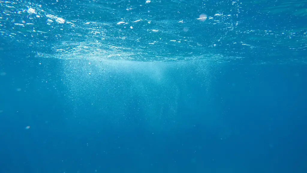 What does it look like underneath a red sea reefer?