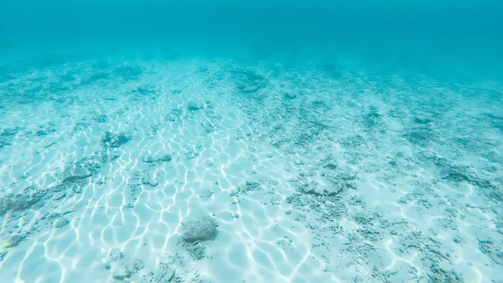 How big is the red sea coral reef?