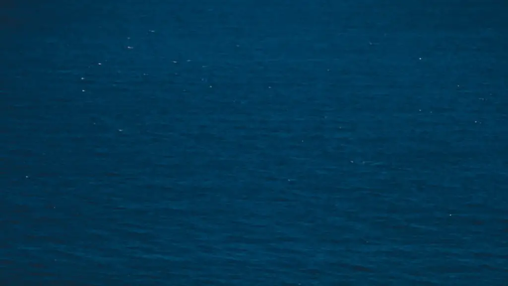 Where to dive in the red sea?