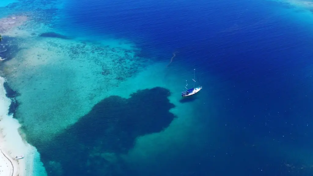 What animals live in the red sea coral reef?