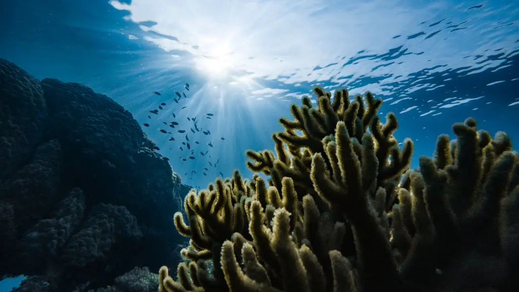 Does the red sea part naturally?